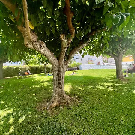 Voramar Bookapartments